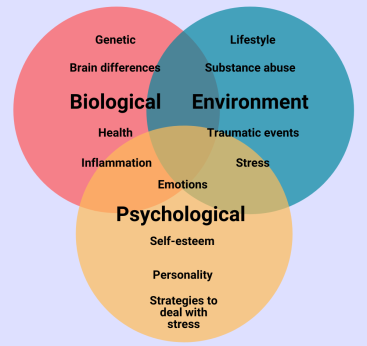 Risk factors responsible for bipolar disorder